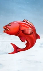 Ice Fishing
