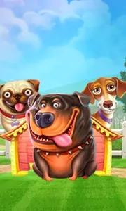 The Dog House